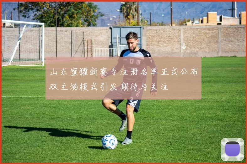 山东蜜獾新赛季注册名单正式公布双主场模式引发期待与关注